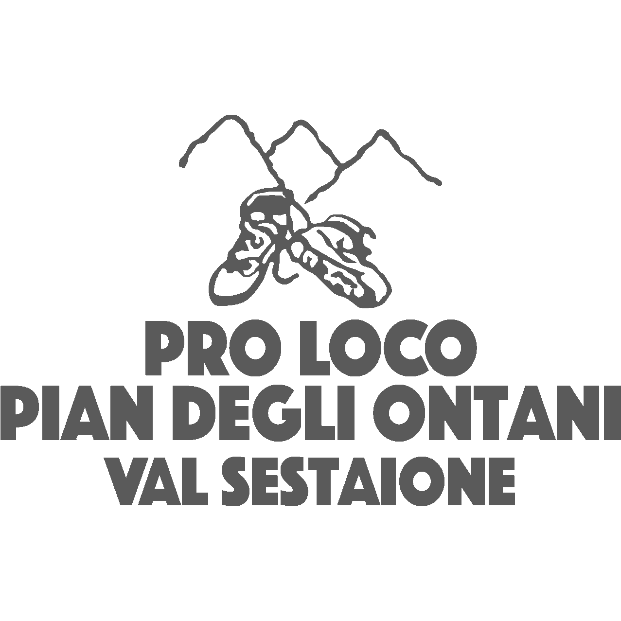 Logo Pro Loco Pian Degli Ontani
